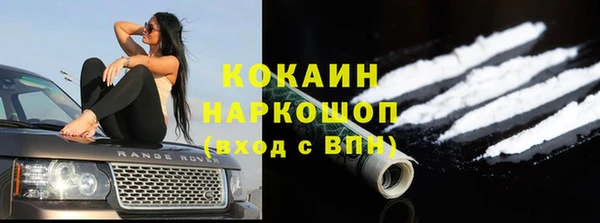 дживик Семилуки