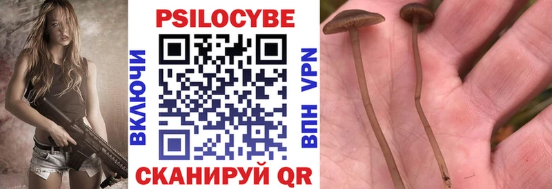 кракен зеркало  Горнозаводск  Галлюциногенные грибы MAGIC MUSHROOMS 